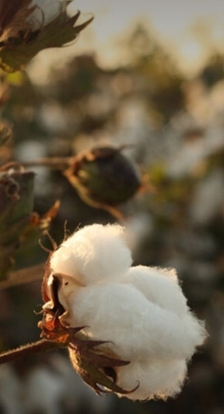Blog_busting_the_thread_count_myth_12.jpg
