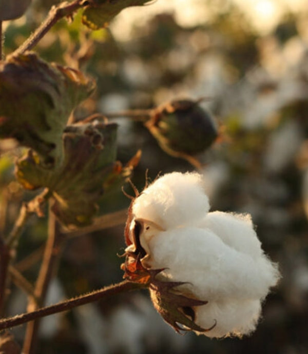 does thread count matter?