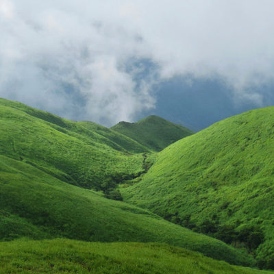 Our Conscious Approach | Close Up Of Rolling Green Hills In A Valley With A Mist Descending | Dip & Doze