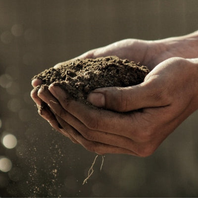 Our Philosophy | Close Up Of Hands Holding Soil | Dip & Doze